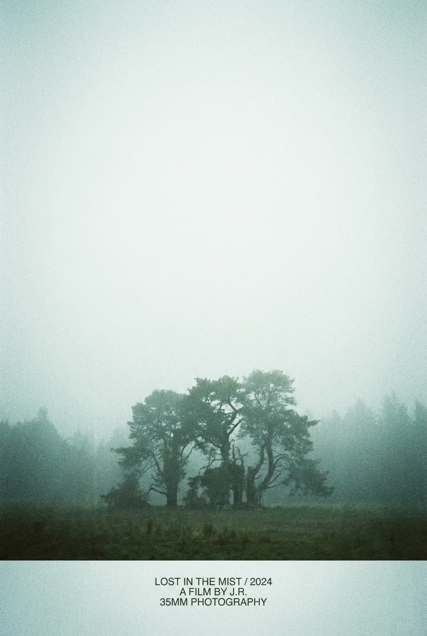 Film Grain Photography - for wall decoration | poster.sh